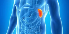 طرق علاج دوالي الخصيتين والأورام الليفية في الرحم
