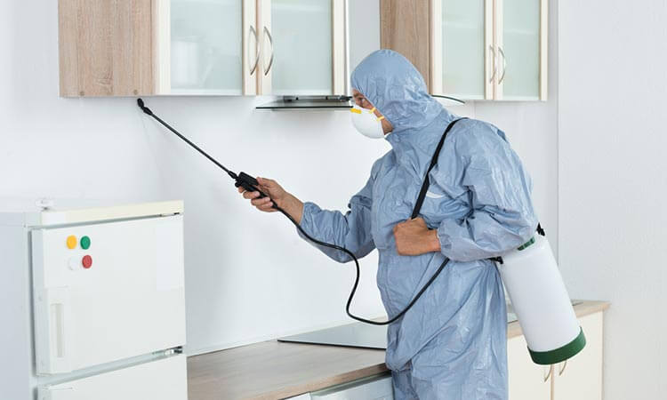 شركة رش مبيدات بالرياض